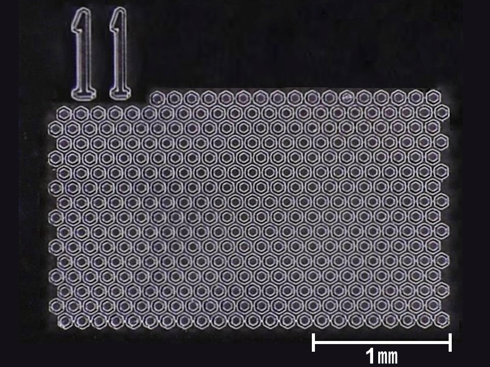 Microchannel chip
