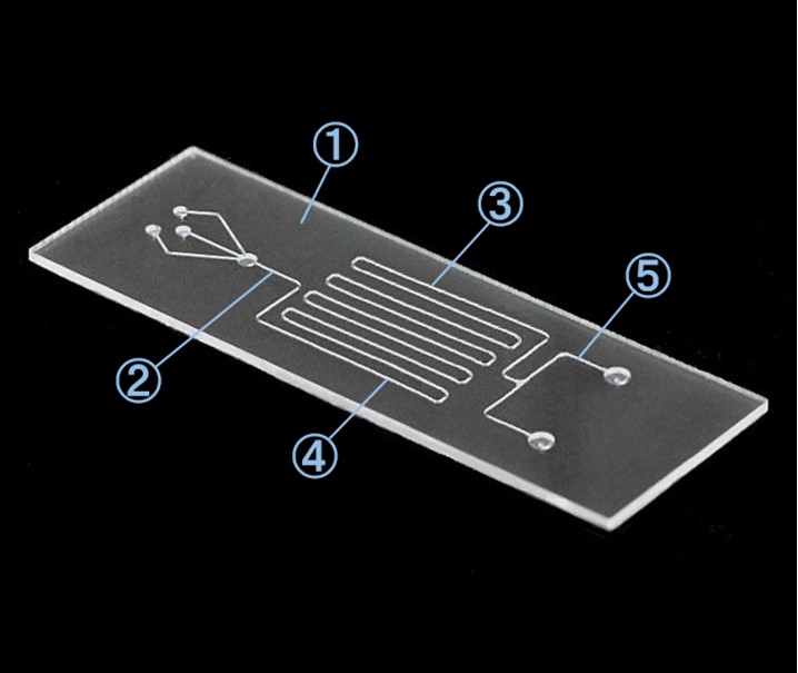 Microchannel chip