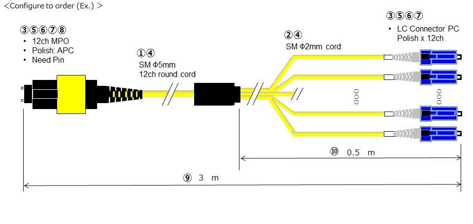 MPO Fan-Out Cable