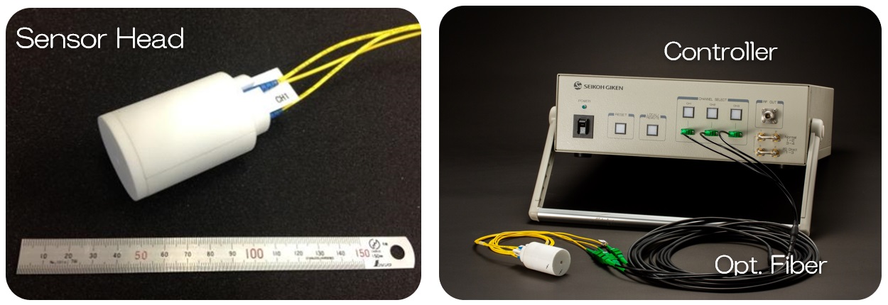 Optical E-Field Sensor