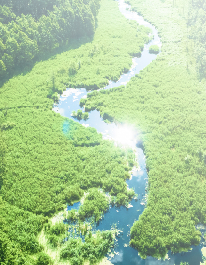 環境方針のイメージ写真